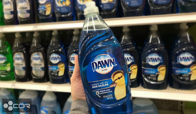 Dawn Dish Detergents