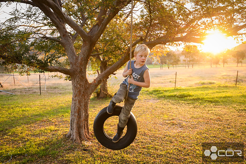 hang a tire swing